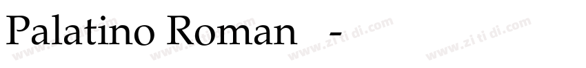 Palatino Roman 常规字体转换